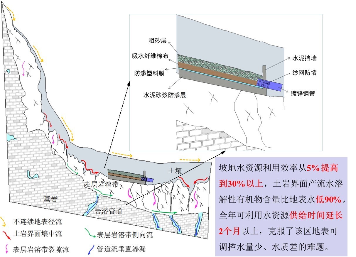 喀斯特坡地土岩界面产流水集蓄利用技术示意图