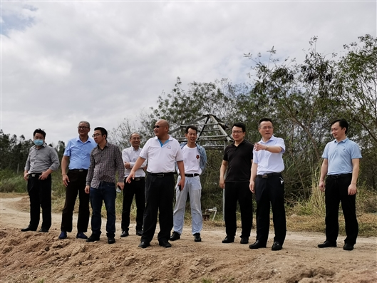 谢昌龙(右二)一行在海南昌江实地察看面源污染成果合作情况