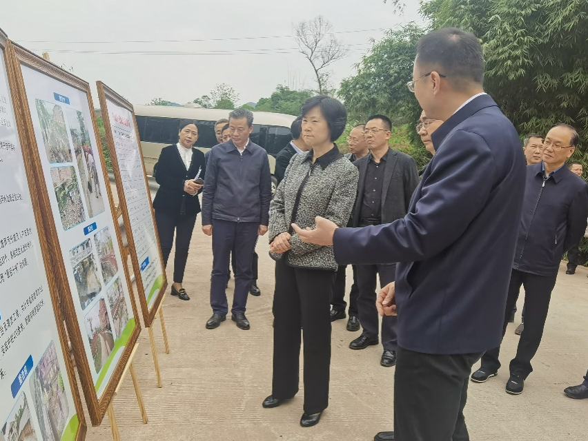 重庆市人大常委会张轩主任一行调研重庆中科检测项目现场1