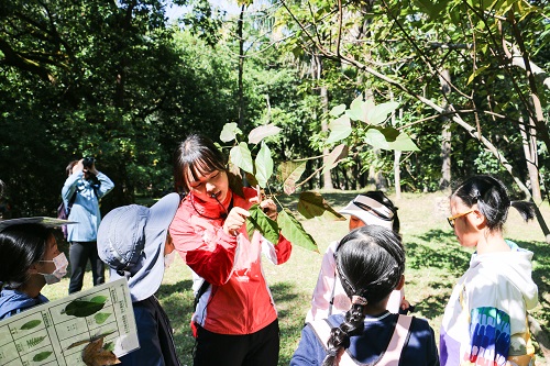 老师介绍植物叶片.jpg