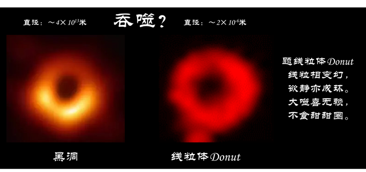 W020190702333268770393.png