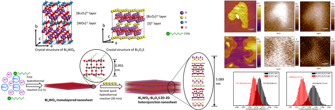 斜方晶Bi2WO6和斜方晶Bi2O2S层状材料的晶体结构和从单层纳米片演变到2D-2D异质结纳米片过程的示意图，单层Bi2WO6纳米片和Bi2WO6-Bi2O2S 2D-2D异质结纳米片原位KPFM测量.png