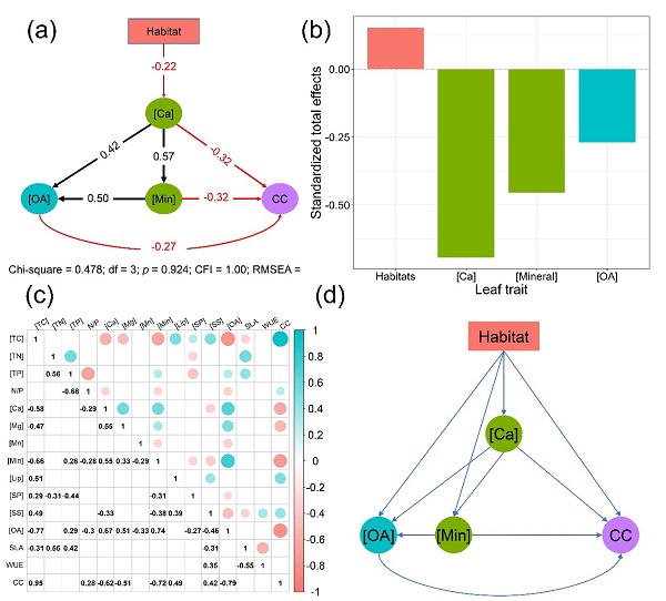 图2. 优势树种通过提高叶片Ca含量并影响叶片有机酸(OA),矿物质(Min)和叶片构建成本(CC)来适应喀斯特生境。.jpg