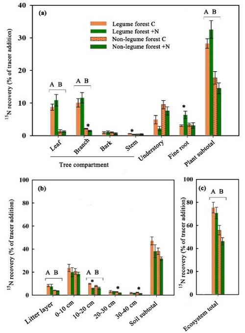 图1. 外源输入氮（大气沉降氮和氮添加）在豆科林和非豆科林中的留存和分配模式.png