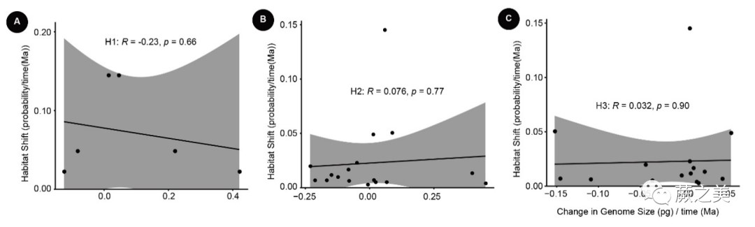 图4. 基因组大小与生境类型在单位时间（百万年，Ma）变化概率之间的关系.jpg