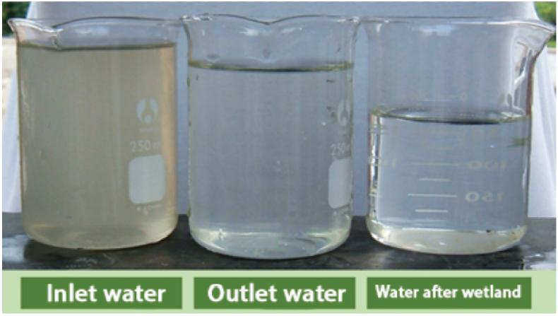 图3. 污水处理效果.jpg