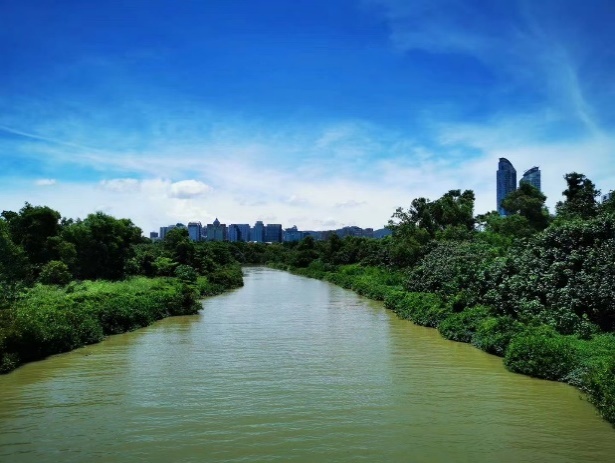 图4. 河道由硬化改为生态化的实景2.jpg