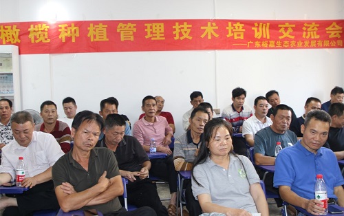 4.橄榄种植技术交流会.jpg
