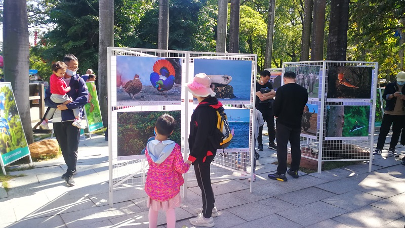 6.展览现场。拍摄者：欧阳沛.jpg